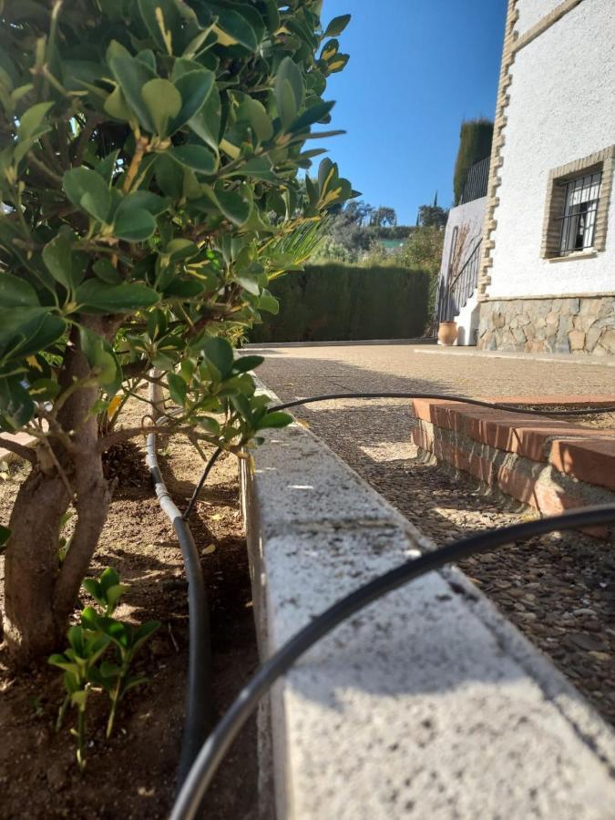 Holiday home La Encina Guillena